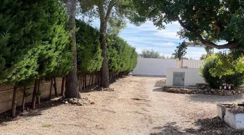 València - Llombai - 1993m2