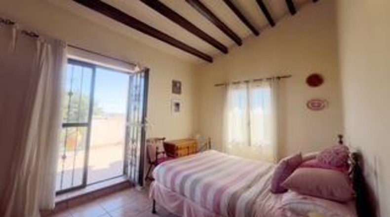 Alicante - Albatera - 231m2