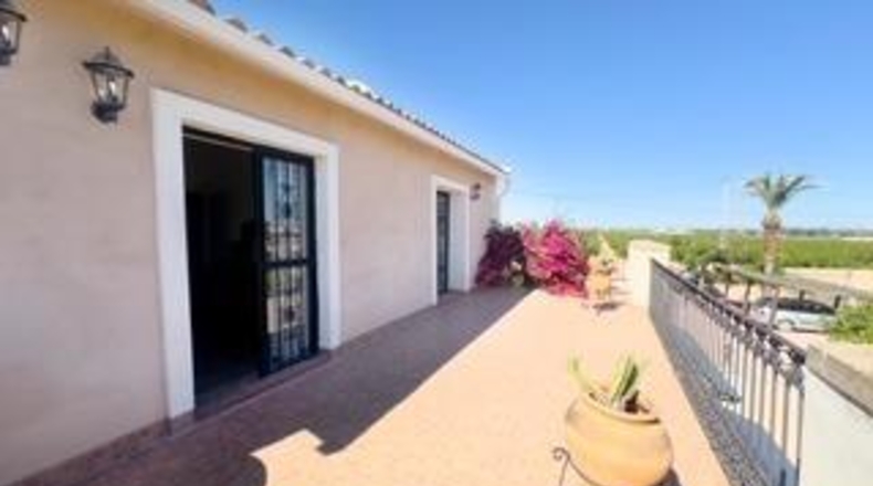 Alicante - Albatera - 231m2