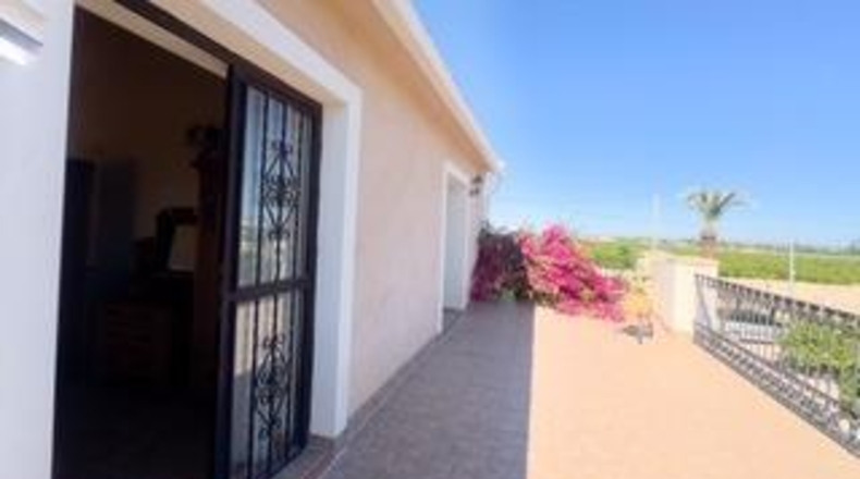 Alicante - Albatera - 231m2