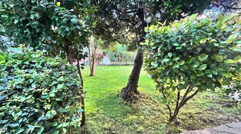 León - Cacabelos - 890m2