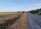 Terreno no urbanizable en venta en la España, Pinares de Lepe, ref: TR415249 foto
