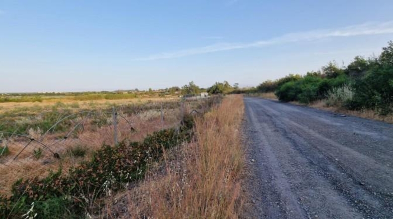 Huelva - Pinares de Lepe - 60000m2