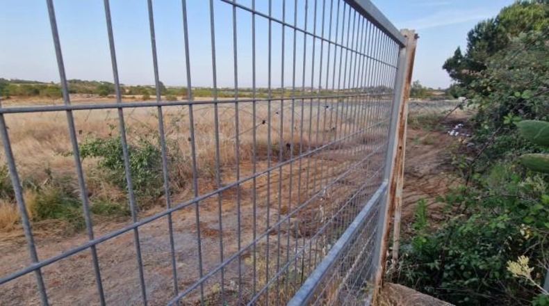 Huelva - Pinares de Lepe - 60000m2