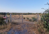 Terreno no urbanizable en venta en la España, Pinares de Lepe, ref: TR415249 foto