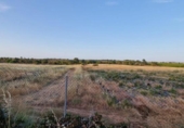 Terreno no urbanizable en venta en la España, Pinares de Lepe, ref: TR415249 foto