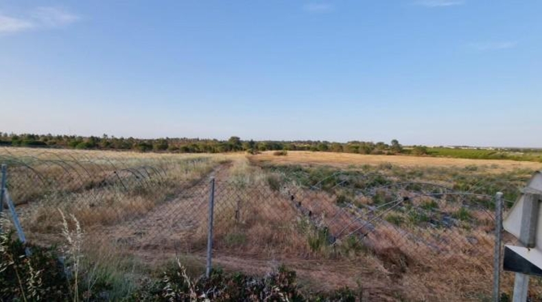 Huelva - Pinares de Lepe - 60000m2