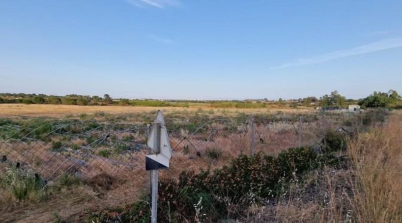 Huelva - Pinares de Lepe - 60000m2