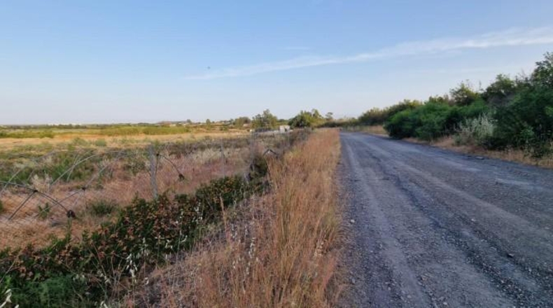 Huelva - Pinares de Lepe - 60000m2