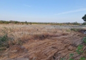 Terreno no urbanizable en venta en la España, Pinares de Lepe, ref: TR415249 foto