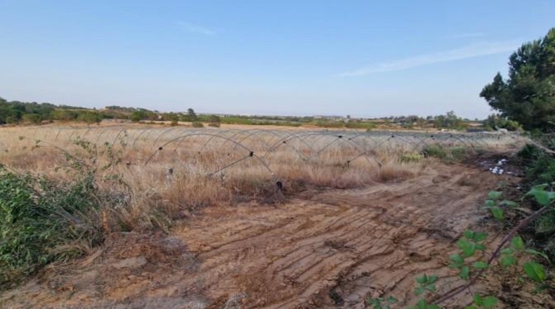 Huelva - Pinares de Lepe - 60000m2