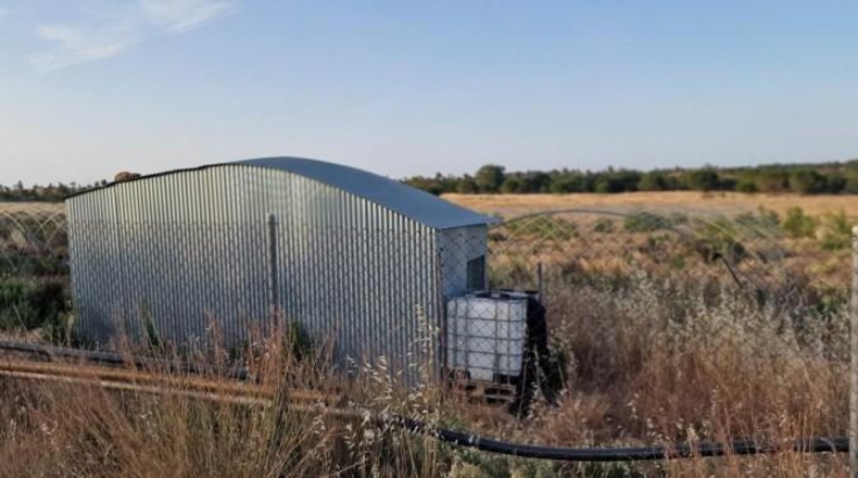 Huelva - Pinares de Lepe - 60000m2