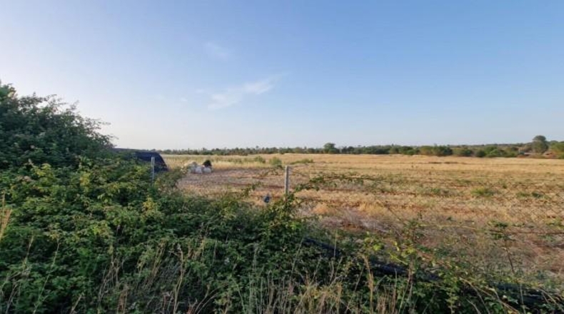 Huelva - Pinares de Lepe - 60000m2