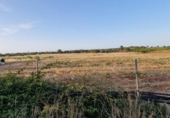 Terreno no urbanizable en venta en la España, Pinares de Lepe, ref: TR415249 foto