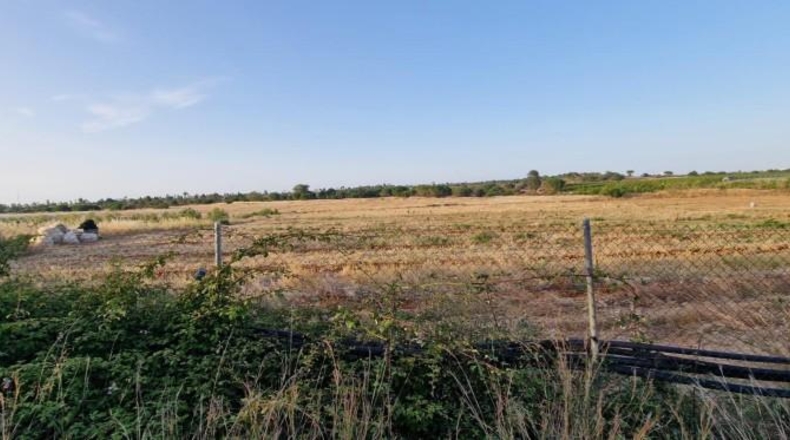 Huelva - Pinares de Lepe - 60000m2