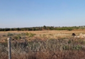 Terreno no urbanizable en venta en la España, Pinares de Lepe, ref: TR415249 foto