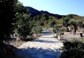 Chalet independiente con terreno en venta en la España, Murcia, ref: TR415260 foto
