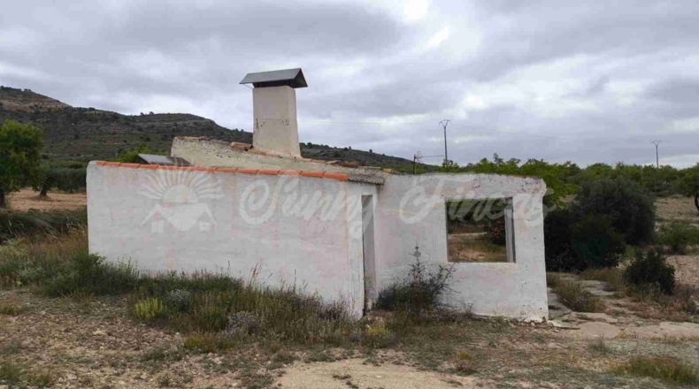 Albacete - Caudete - 33000m2