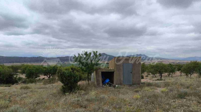 Albacete - Caudete - 33000m2