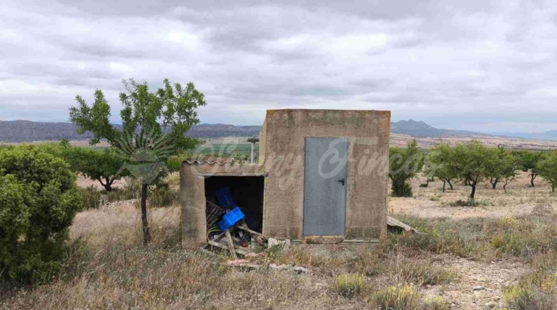 Albacete - Caudete - 33000m2