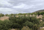 Masía con terreno en venta en Caudete ref: TR415308 foto