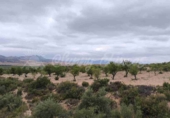 Masía con terreno en venta en Caudete ref: TR415308 foto