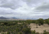 Masía con terreno en venta en Caudete ref: TR415308 foto