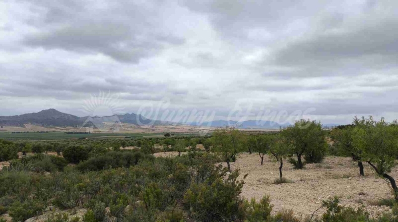 Albacete - Caudete - 33000m2