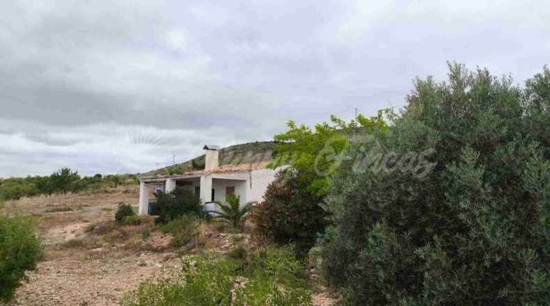Albacete - Caudete - 33000m2