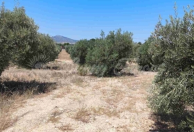 Yecla 23000&nbsp;m²
