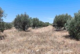 Yecla 23000&nbsp;m²