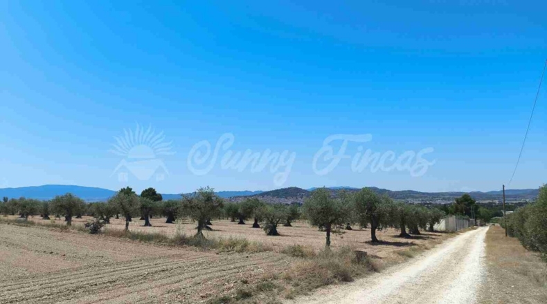 Murcia - Йекла - 23000m2