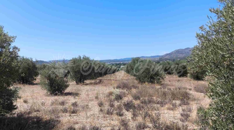 Murcia - Йекла - 23000m2