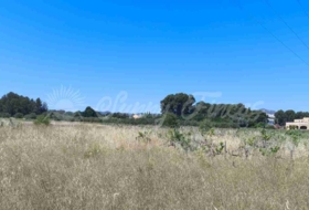 Yecla 25000&nbsp;m²