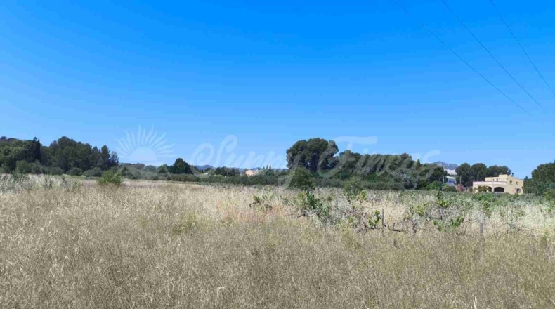 Murcia - Йекла - 25000m2