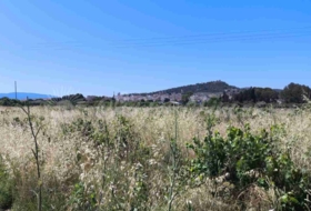 Yecla 25000&nbsp;m²