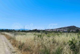 Yecla 25000&nbsp;m²