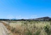 Parcela urbanizable en venta en Yecla ref: TR415310 foto