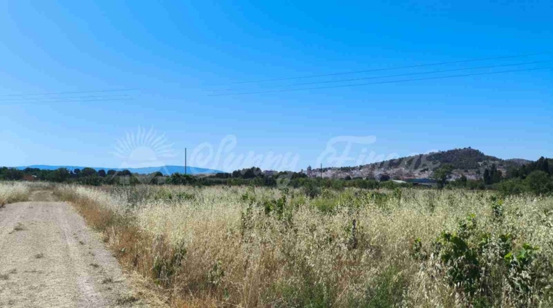 Murcia - Йекла - 25000m2
