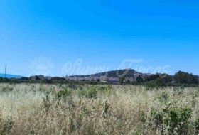 Yecla 25000&nbsp;m²