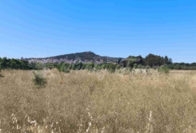 Yecla 25000&nbsp;m²