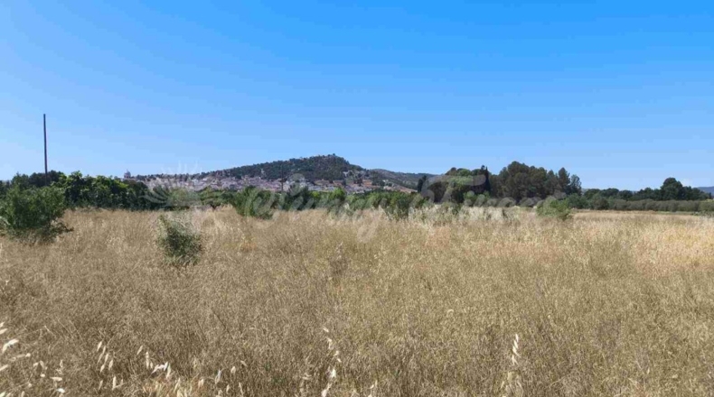 Murcia - Йекла - 25000m2