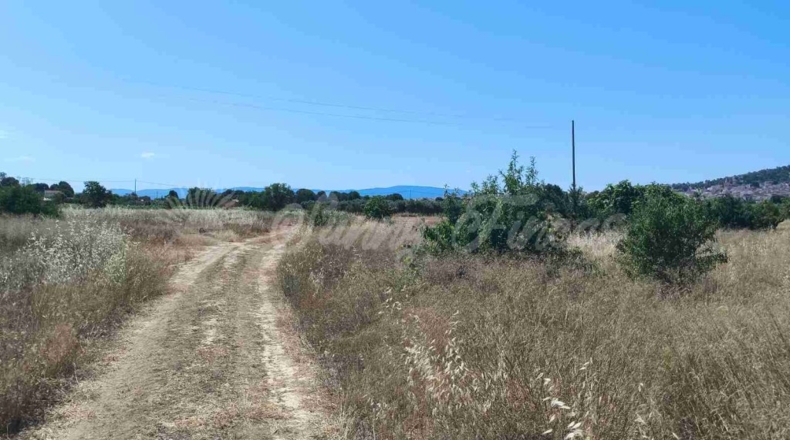 Murcia - Йекла - 25000m2