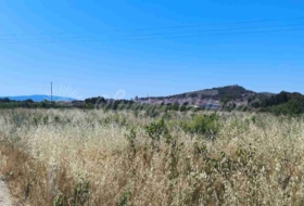 Yecla 25000&nbsp;m²