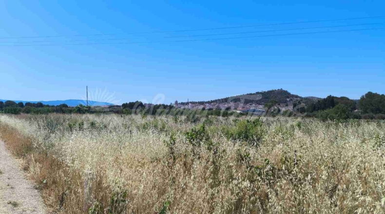Murcia - Йекла - 25000m2