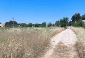 Yecla 25000&nbsp;m²