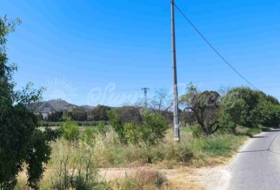 Yecla 25000&nbsp;m²