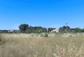 Yecla 25000&nbsp;m²