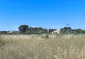Parcela urbanizable en venta en Yecla ref: TR415310 foto