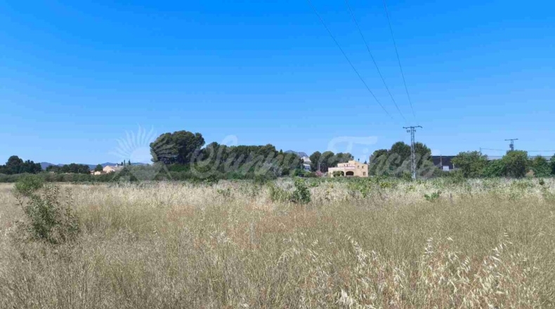 Murcia - Йекла - 25000m2